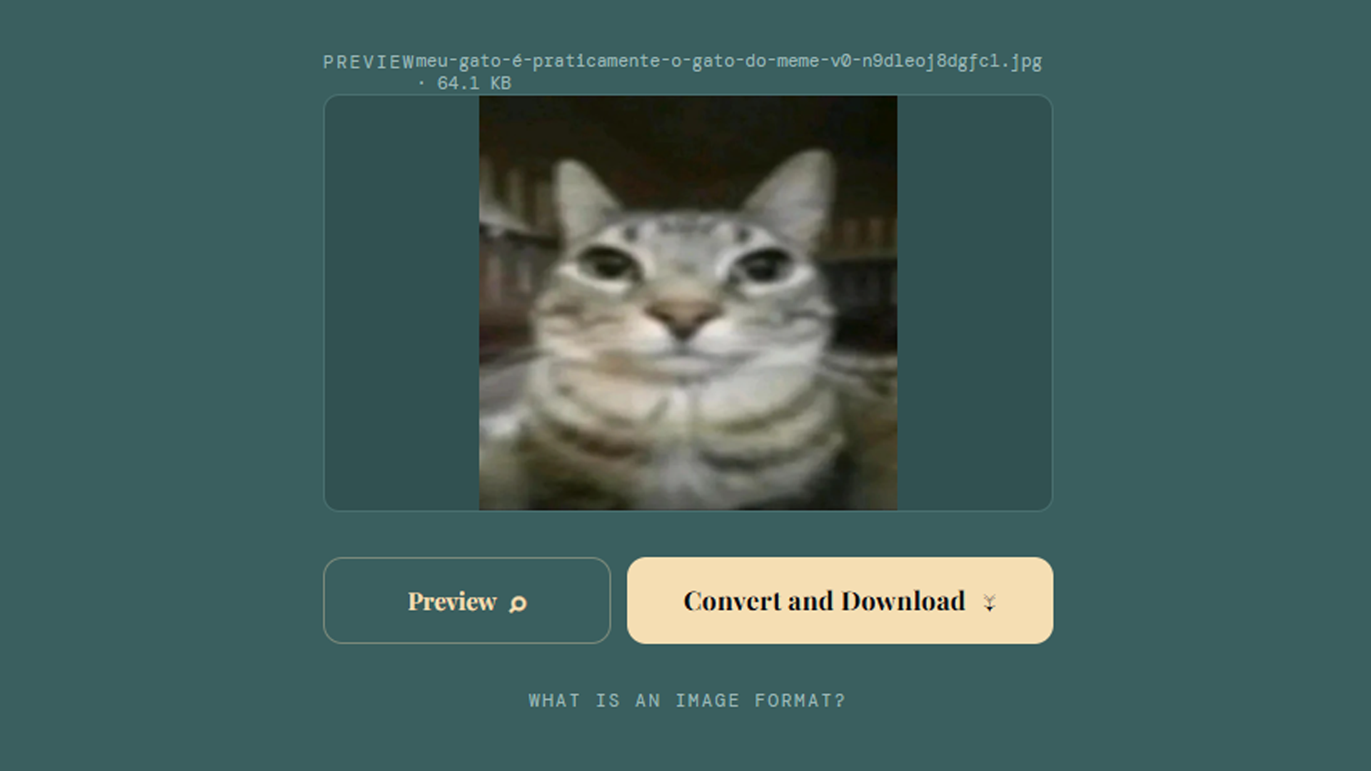 IMAGO - bandeja de descarga